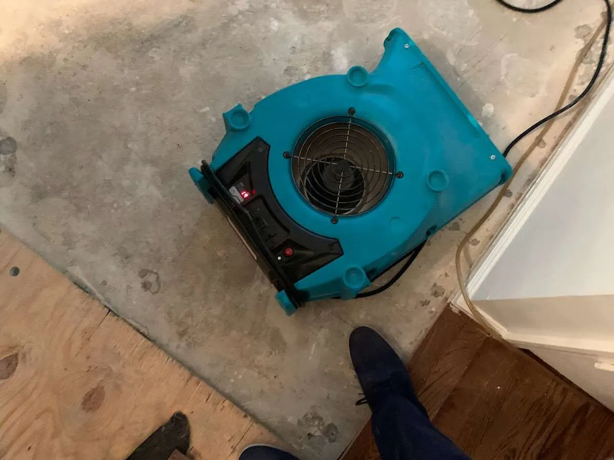 Air mover drying subfloor during Leak Detection & Repair in Gardner